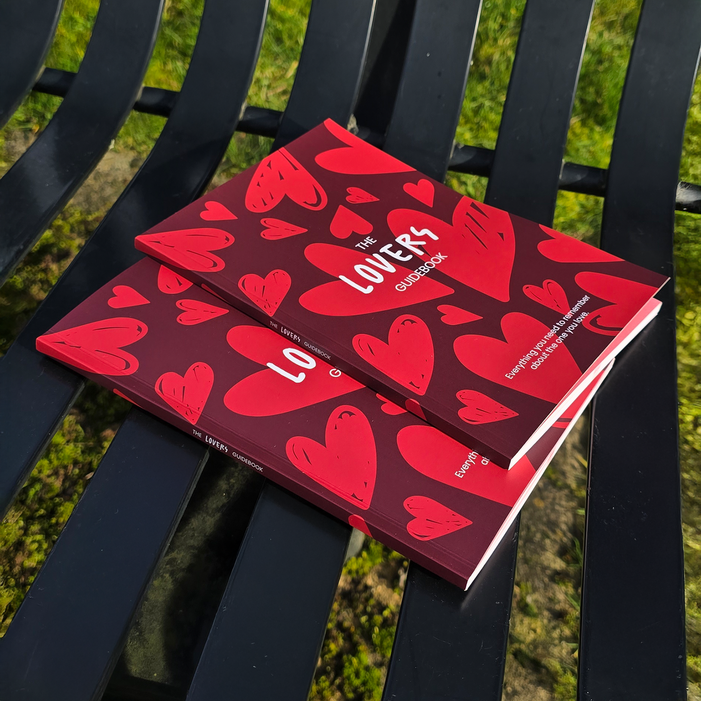 The Lovers Guidebook
